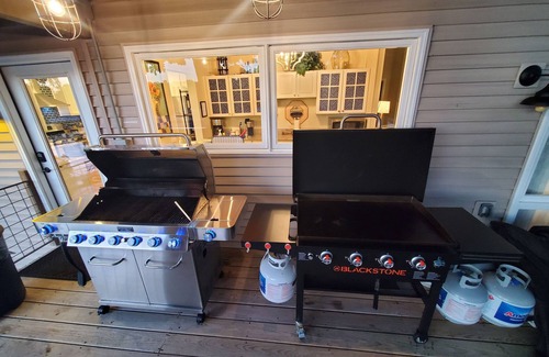 Osage Beach Casa | PERFECT LOCATION+h2oToys+6 BDRMS+5 BTHRMS+3 FMLY RMS+2 KTCHNS+SWIM DOCK+Pets Ok