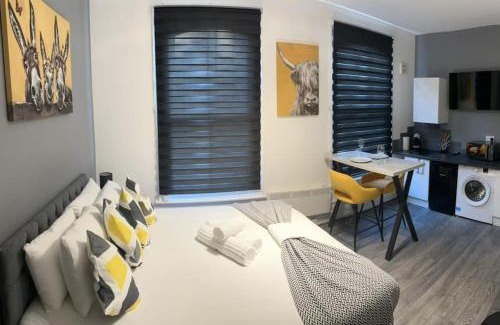 Hillrise Apartamento | Perfect Studio Stay - Close to Underground