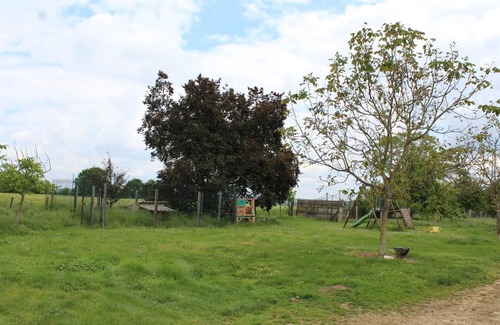 Naussannes Cabaña | Casa perigordiana con piscina compartida, chimenea y mascotas permitidas cerca de Bergerac