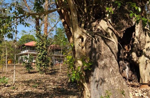 Kushalnagar Casa | Periwinkle Place