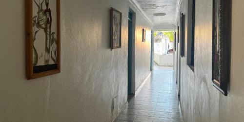 Boca Chica Hotel | Perla Marina