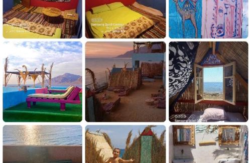 Nuweiba Cama Y Desayuno | Perry’s Island Camp Al Mezina