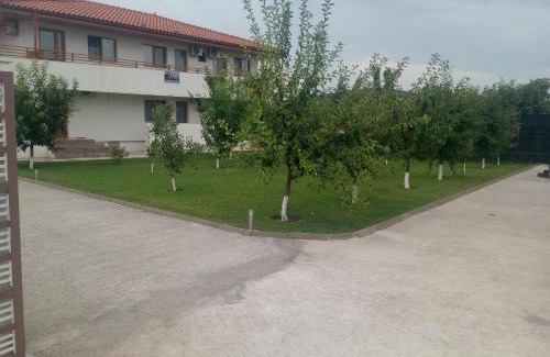 Murighiol Casa | Pestele Ca Odinioară