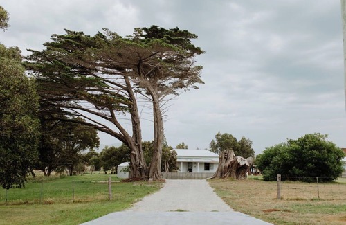 Falmouth Cabaña | Pet & Family Friendly cottage by the sea, 2 acres, Falmouth East Coast Tasmania