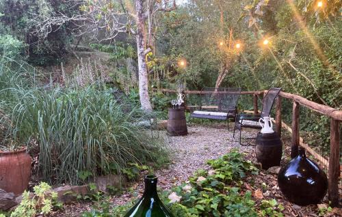 Castelfranco di Sopra Casa | Pet Friendly Home In Castelfranco Piandiscó