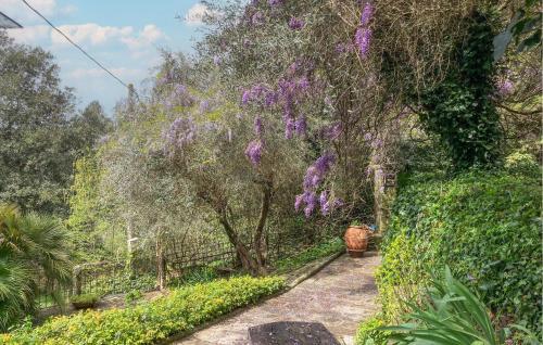 Castelfranco di Sopra Casa | Pet Friendly Home In Castelfranco Piandiscó