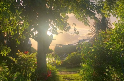 Duranbah Casa | Pet friendly caravan on acreage