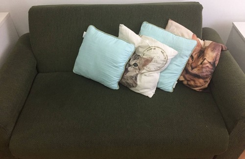 Canela Apartamento | Apartamento apto para mascotas