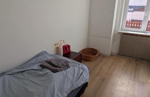Holeby Apartamento | Pet-Friendly Apartment 2 60m2 - close to Femern & Puttgarden & Lalandia & Knuthenborg
