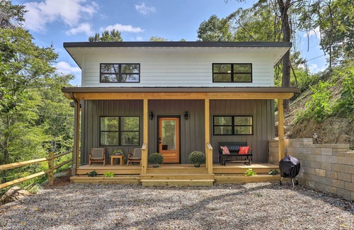 Woodfin Cabaña | Pet-friendly Asheville Retreat w/ Hot Tub