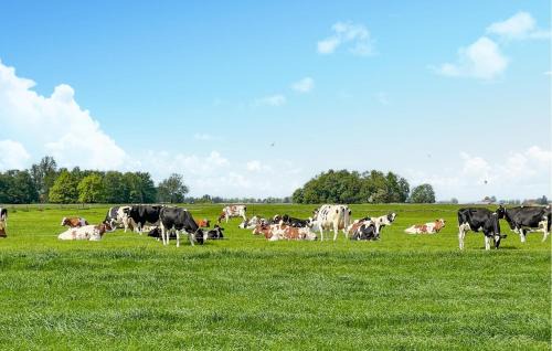 Lemmer Casa | Pet Friendly Home In Lemmer With Wifi