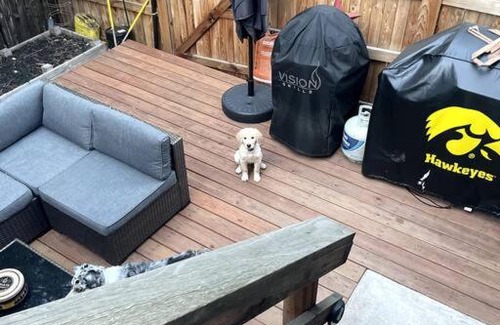 Arapahoe Ridge Casa | Pet friendly in Boulder! Minutes from CU & Pearl!