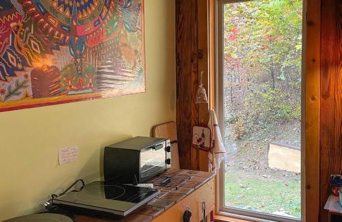 Marshall Apartamento | Pet-Friendly Leicester Mountain View Escape