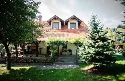 Seica Mare Casa | Petershaus - casa de vacanța și distractie.