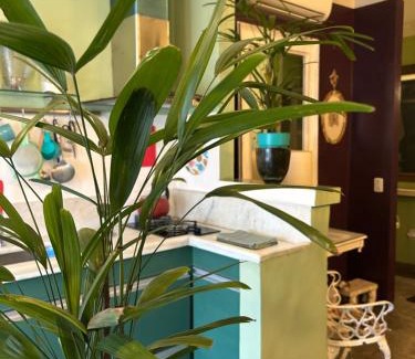 Pelourinho Apartamento | Petit Jardin