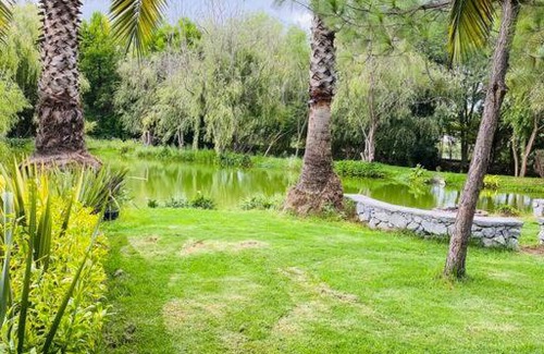 San Salvador Casa | Petit