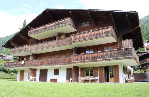 Chateau-d'Oex Apartamento | Petit Pré A