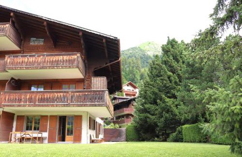 Chateau-d'Oex Apartamento | Petit Pré A