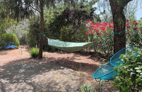Frejus Cabaña | Petite Maison de Vacances au Bord D'un Petit Bois