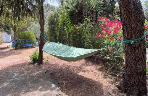 Frejus Cabaña | Petite Maison de Vacances au Bord D'un Petit Bois