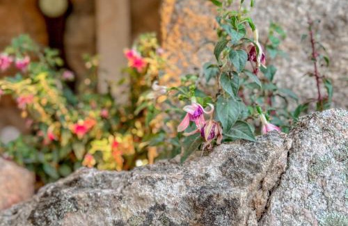 Santa Teresa di Gallura Casa | Petra Maris Luxury Rooms