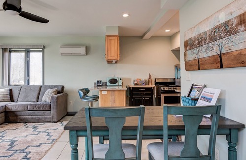 Candler Apartamento | PETS, large fenced yard, full kitchen, 6 min to A-ville.