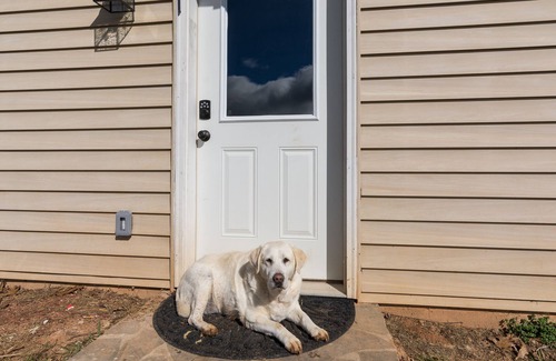 Candler Apartamento | PETS, large fenced yard, full kitchen, 6 min to A-ville.