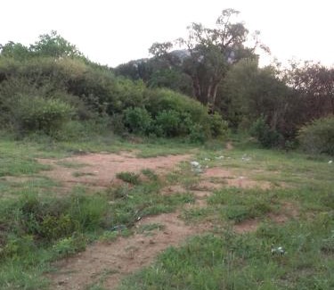 Phalaborwa Cama Y Desayuno | Phalaborwa tourist center & tour operator