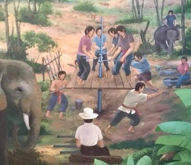Takua Pa Casa | Phang-nga Farm Stay