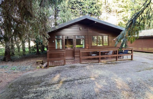 Alford Casa | Pheasant