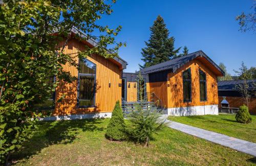 Skhidnytsya Complejo | Phoenix Medical Resort
