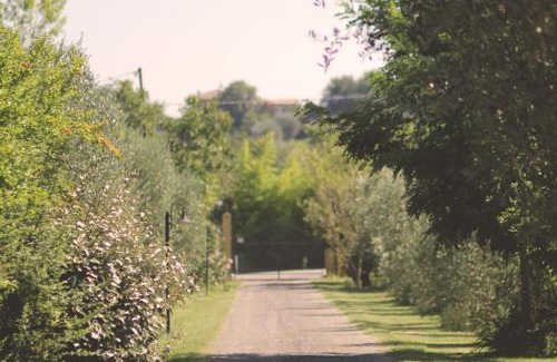 Patrignano Casa | Pian del Pigro