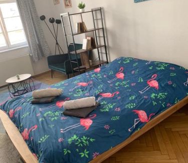 Altstadt Apartamento | Piano Apartment in Halle Center - Netflix - Free WiFi 1