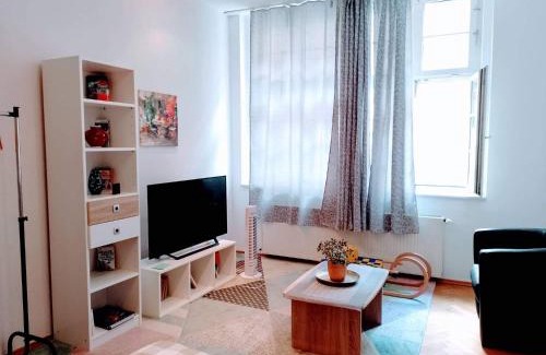Altstadt Apartamento | Piano Apartment in Halle Center - Netflix - Free WiFi 1