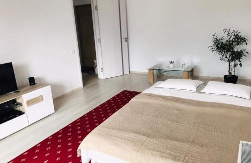 Zarnesti Apartamento | Piatra Craiului Residence Zărnești