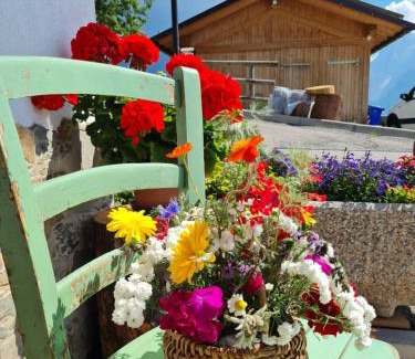 Colle Santa Lucia Apartamento | Piccola Suite sul Civetta