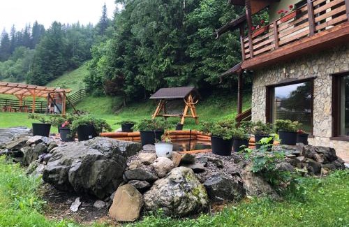 Pojorita Casa | Pietrele Doamnei