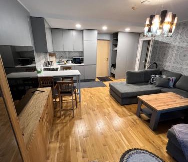 Otepaa Apartamento | Pikk 45