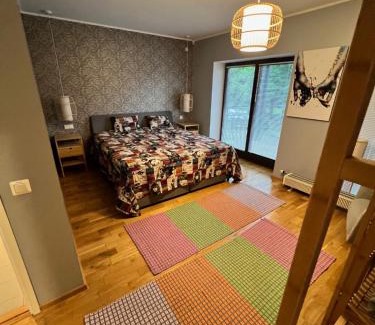 Otepaa Apartamento | Pikk 45