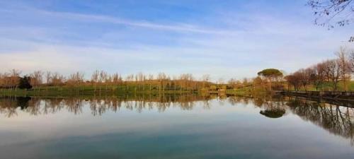 Rabastens Otro | pilotis du lac avec SPA privatif