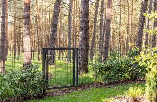 Palanga Apartamento | Pine Forest Escape at Vanagupes Parkas