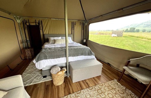 Hermosa Alquiler De RV | Pine Tent Structure