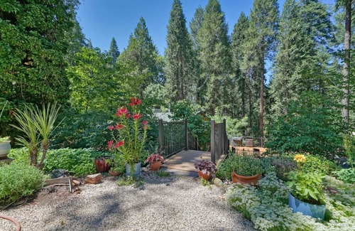 Apple Hill Casa | Pine View Paradise, beautiful and private, close to Wineries, Jenkinson Lake!