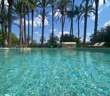 Elche Cama Y Desayuno | Pink Lemon House