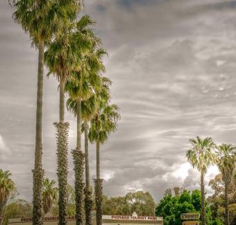 Deniliquin Otro | Pioneer Tourist Park