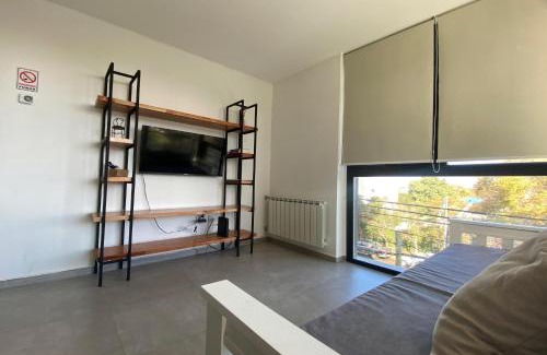 Neuquen Apartamento | Pionero
