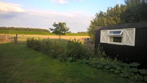 Onstwedde Cama Y Desayuno | Pipowagen Lidewei Groningen Westerwolde unieke ligging met eigen tuin en vrij uitzicht over veld naar natuurgebied
