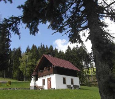 Sankt Kathrein am Hauenstein Casa | Pircherhof - Urlaub und Erholung im Troadkost'n