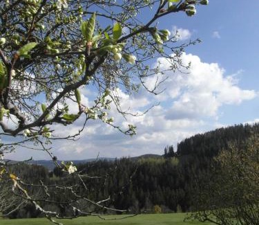 Sankt Kathrein am Hauenstein Casa | Pircherhof - Urlaub und Erholung im Troadkost'n