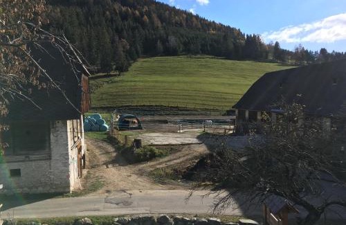 Sankt Oswald-Moederbrugg Apartamento | PirkerHof